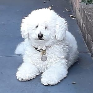 Meet your Posher, Nick